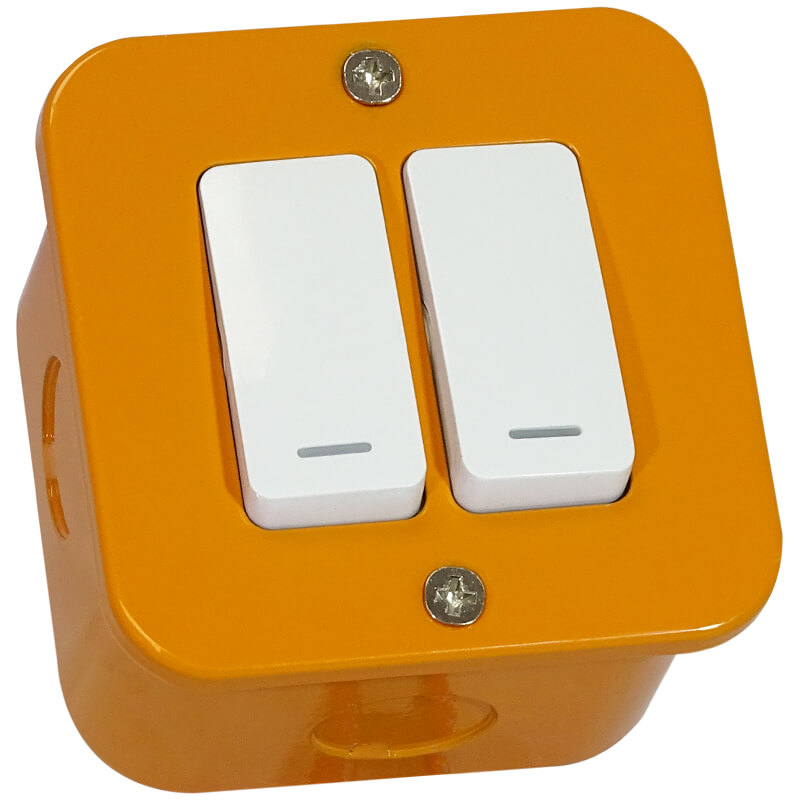 Industrial Two Lever Switch